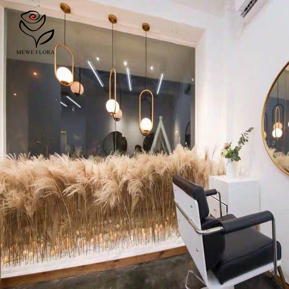 200 pezzi di rose soffici essi - Pampas Grass Decor recensione e prezzo