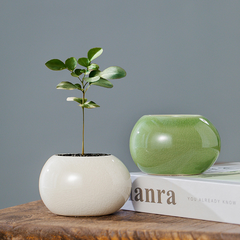 Vaso in Ceramica Smaltata Effe - Rattan Plant Basket recensione e prezzo