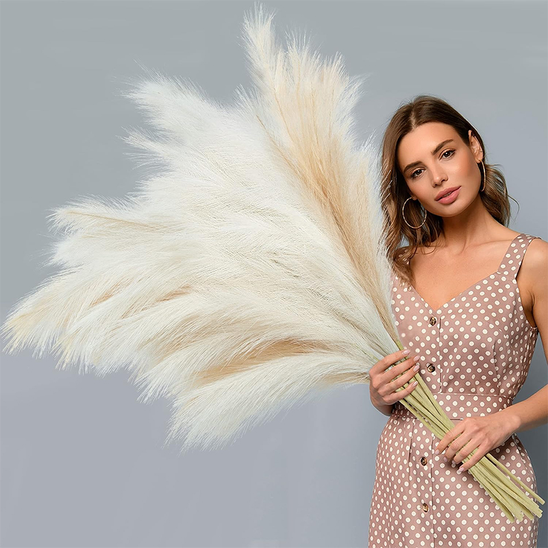 90/120 CM 1 Pz Soffice Erba di - Pampas Grass Decor recensione e prezzo