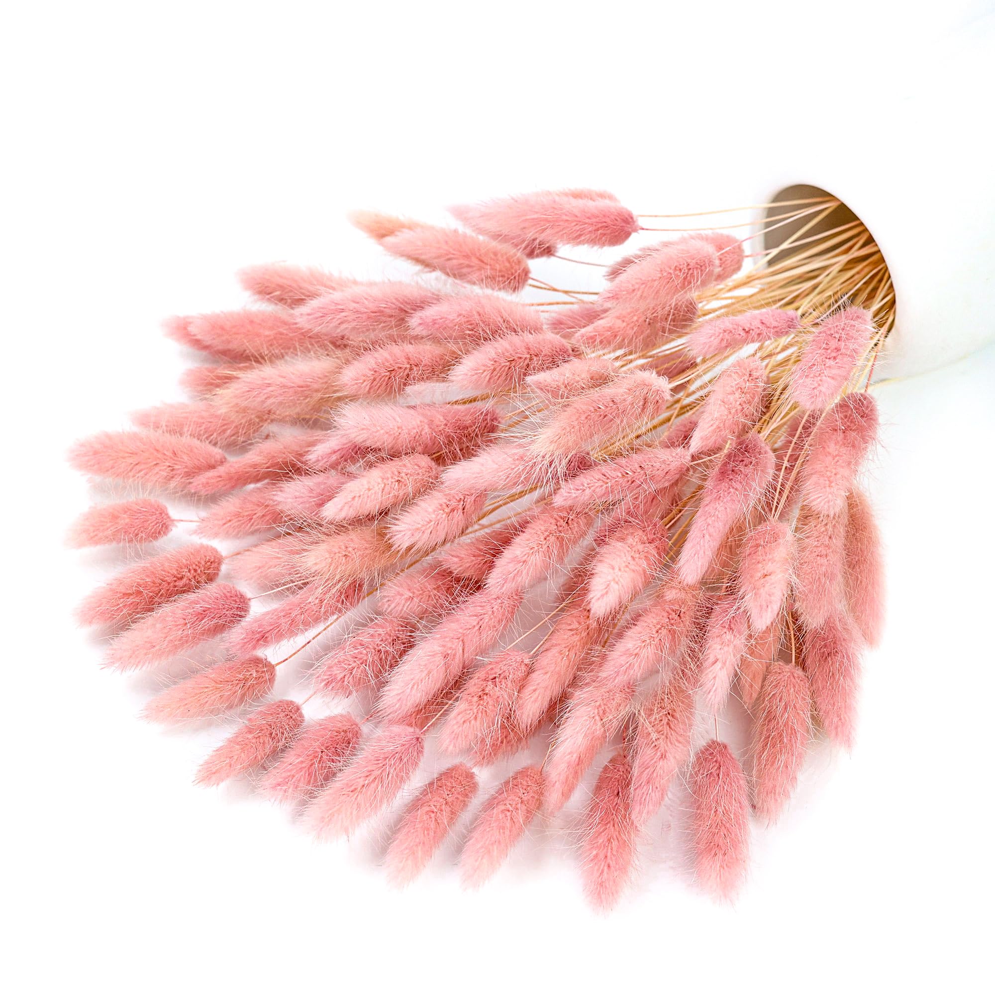 120 stelo rosa pampa essiccata - Pampas Grass Decor recensione e prezzo